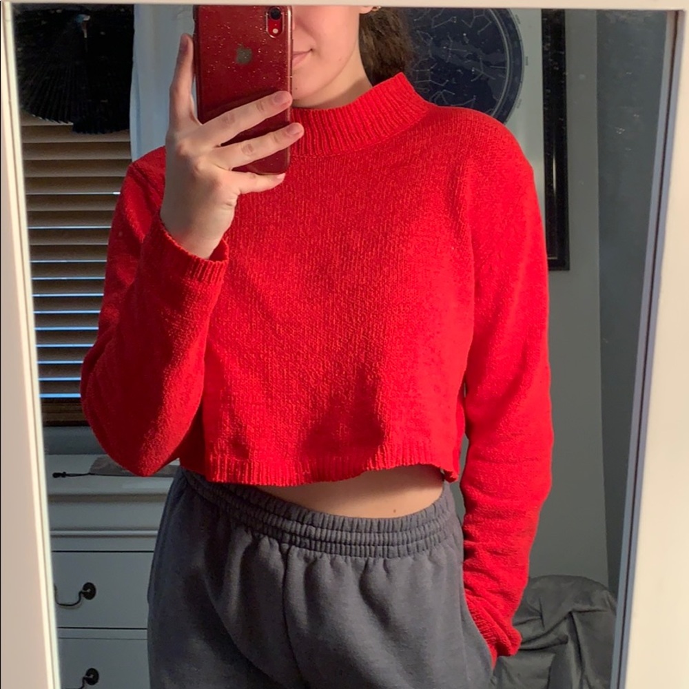 Cropped Wild Fable Sweater
